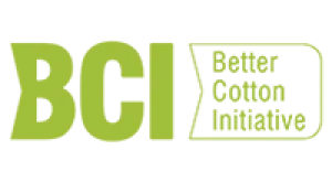 Bci